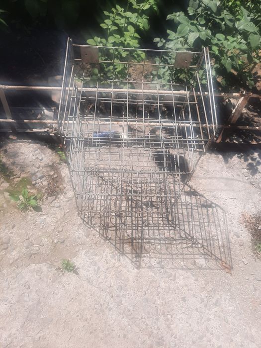 Стилаж для чипсов , семечки и кириешки