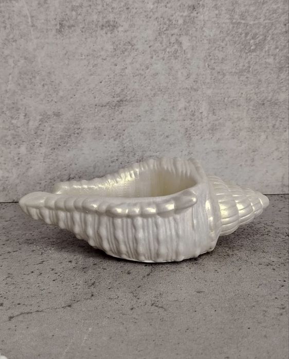 Декор для интерьера. Ракушка из гипса