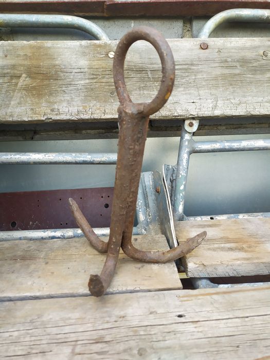 Кошки , якоря , богры