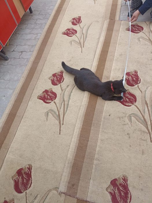 Продам дорожки шерстяные