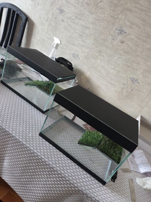 Ремонт и обслуживание аквариума