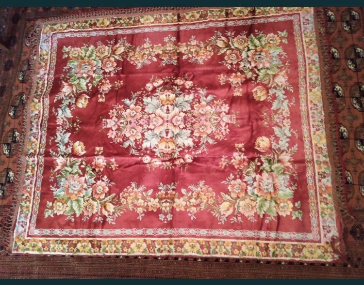 Албанский  палак 3 штуки в наличии…