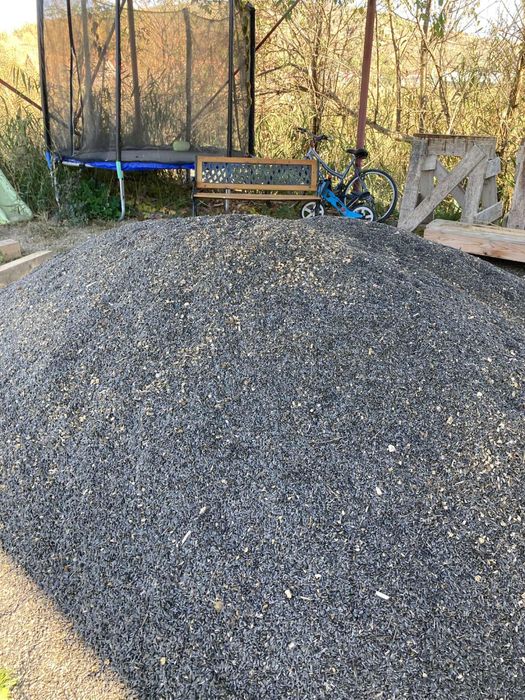 Seminte de floarea soarelui