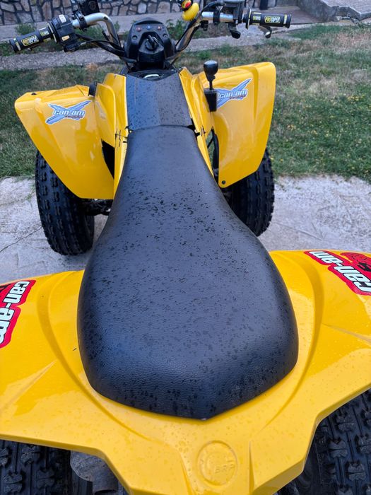 АТВ Can-am 250-DS