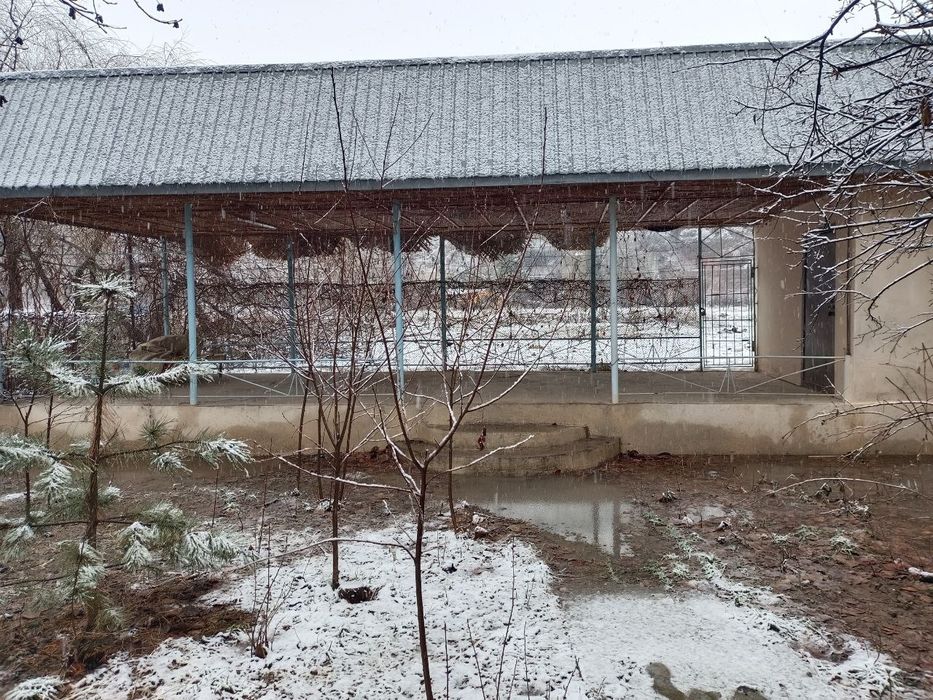 Продаётся дача на Чарваке