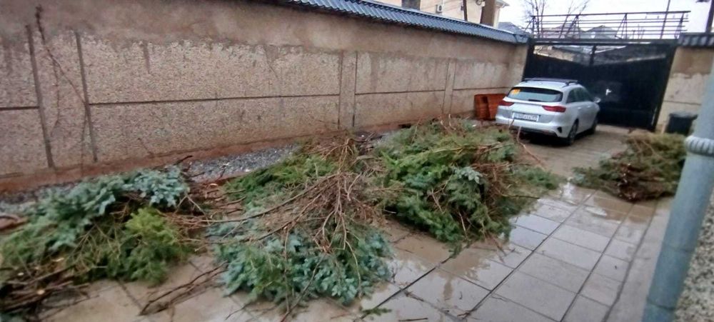 ГАЗЕЛЬ Вывоз Мусор 24/7