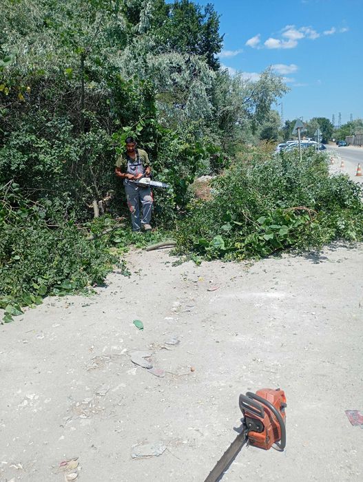 Косене на трева ,  почистване на дворове и рязане на опасни дървета