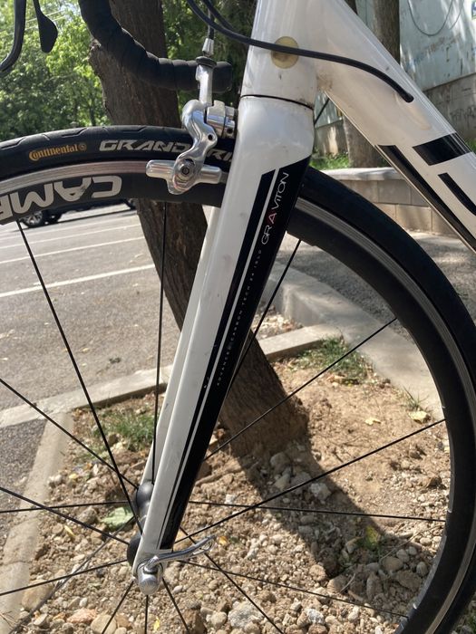 Cursiera  full campagnolo record ST 58 marime  L XL