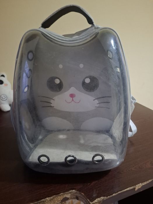 Mushuk sotiladi uychasi bilan