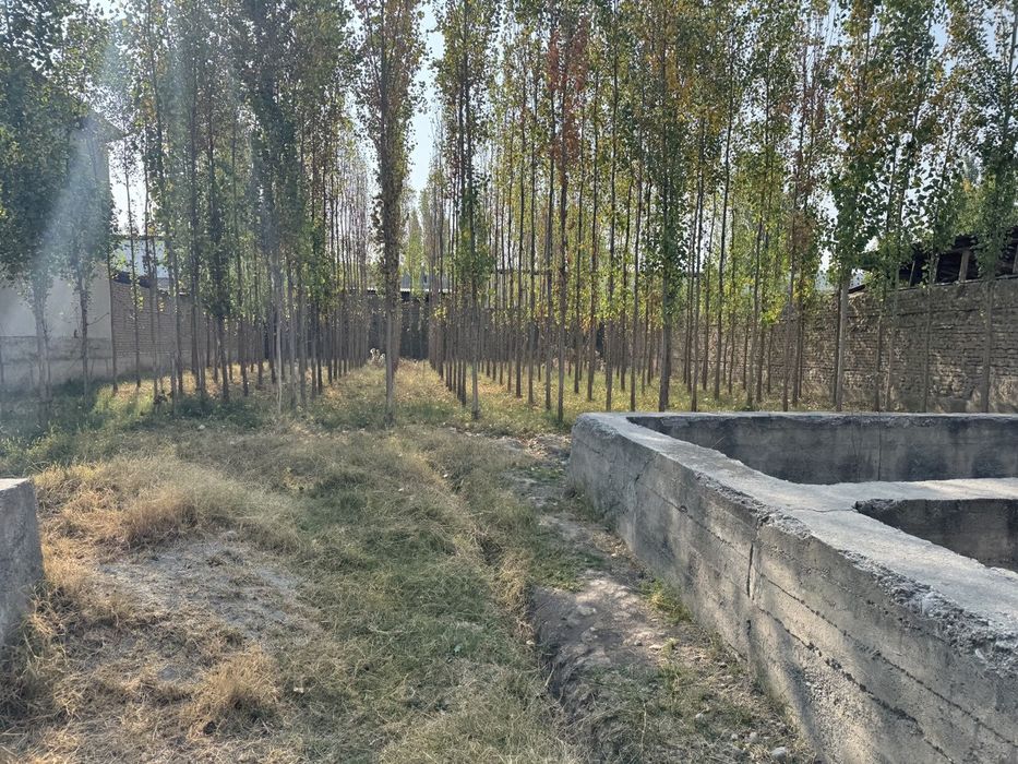 8.5 sotxlik yer sotladi