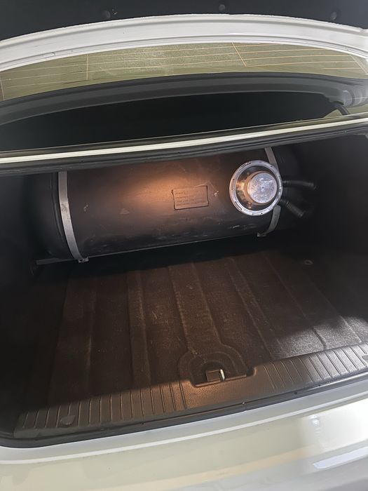 Lasseti sotiladi tayor tozza