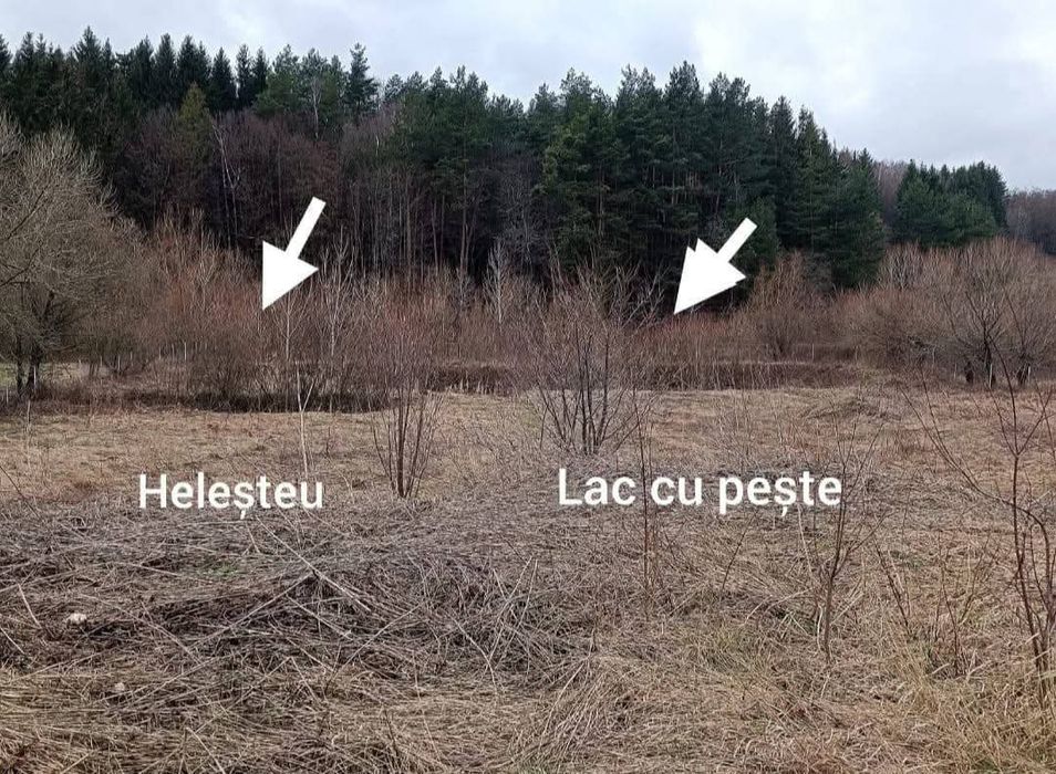 Teren intravilan, lac, heleșteu cu pește,râu 3600m2 intravilan