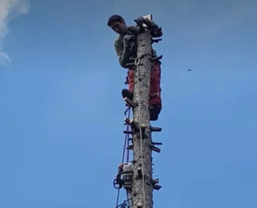 Алпинист (Арборист) 24/7