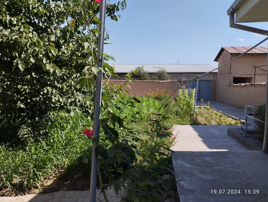 Qibrayda 4 sotix quruq yer sotiladi