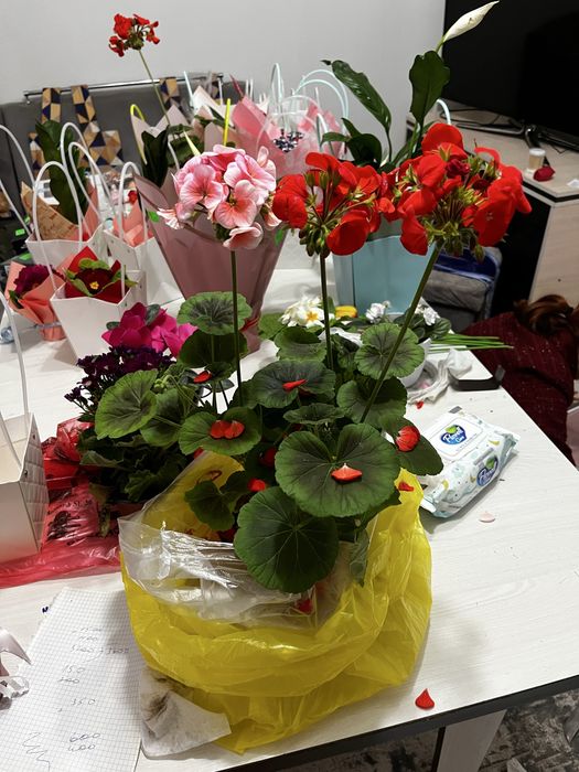 Гүлдер сатылады табиғи