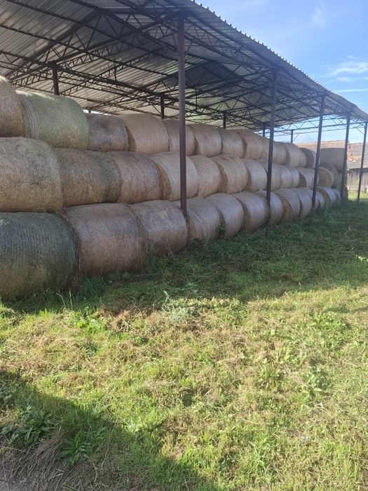 Vând lucernă cantitate mare