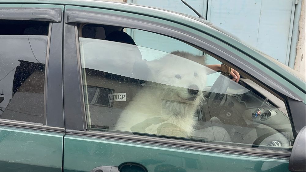 Обмен или продам