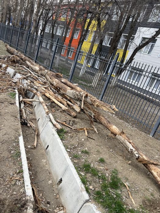 Дрова. Отын. Бесплатно