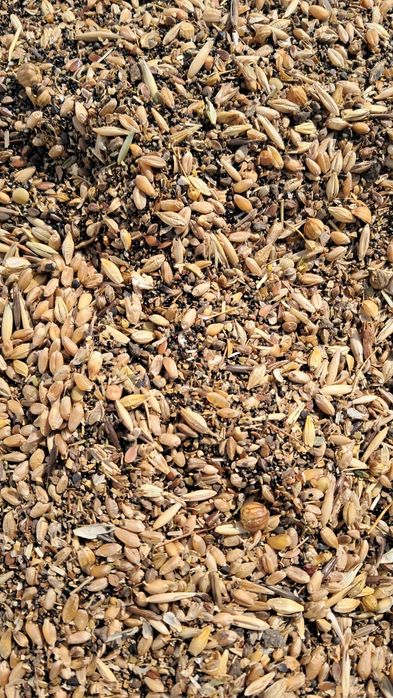 Зерноотходы в мешках