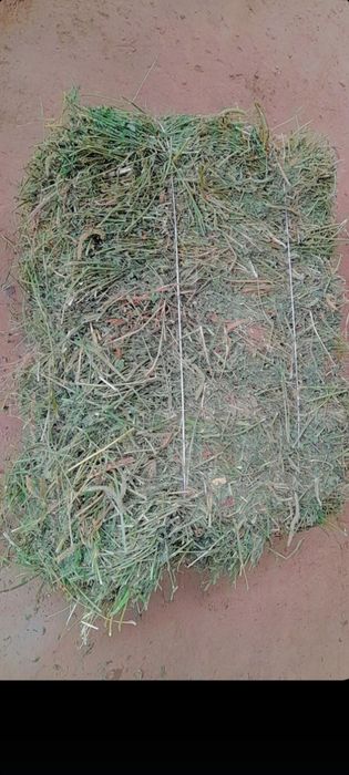 Беда пресс  сотилади