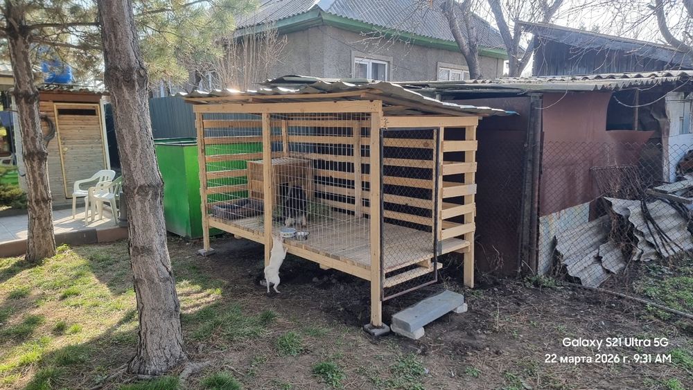 Вальер клетка для собак