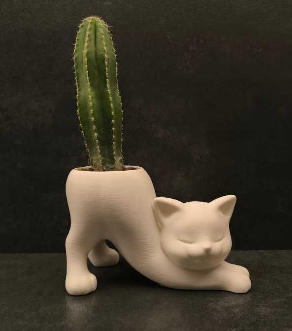 Дом, где растениям уютно: дизайнерские кашпо для вашего интерьера