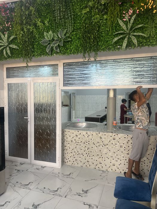 Акфа алутех эшик ромлар