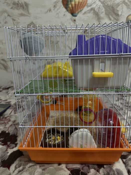Продам хомяков с клеткой