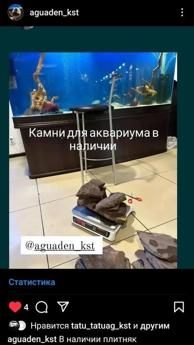 Аквариумы чистка обслуживание