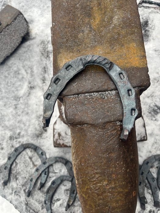 Подкова есть летние зимние