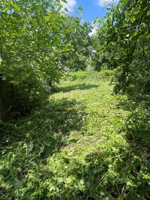 Teren intravilan Comuna Frumusani