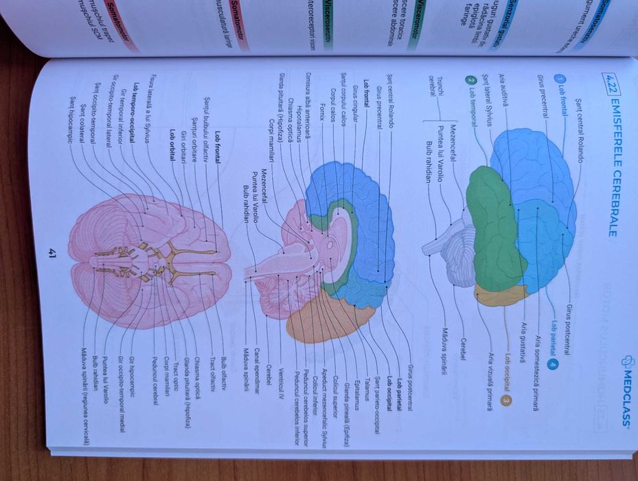 Vând Atlas de Anatomie MEDCLASS - CORINT