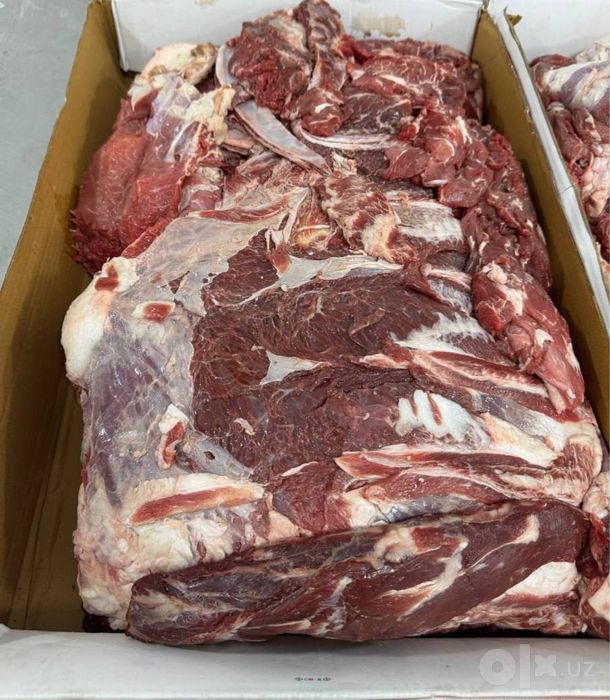 zMaxMeat sifatli xalol import muzlatilgan goʻshtlar