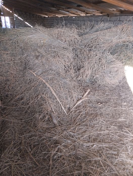 Прим смог ва катта катта бог беда бор