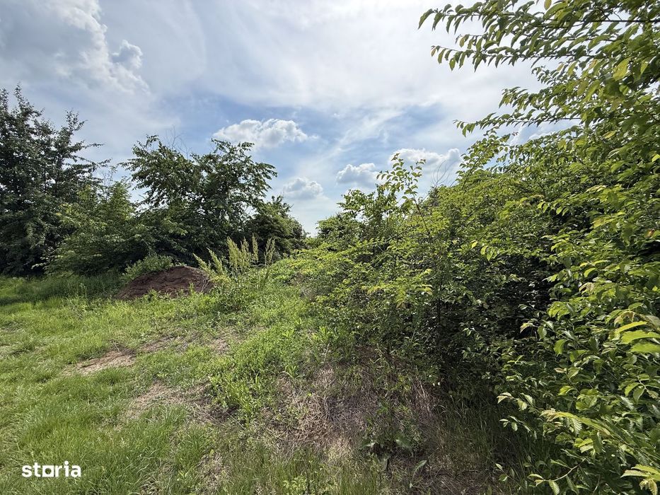 Teren intravilan 498,02 mp langa pădure , strada privata Corbeanca