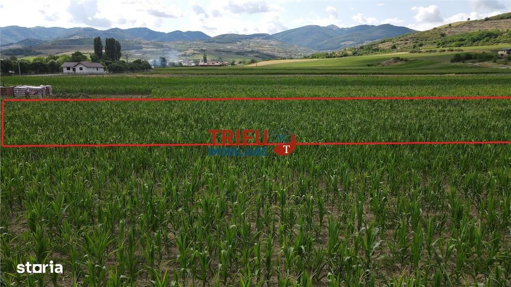 Teren de vanzare Ighiu 1500mp