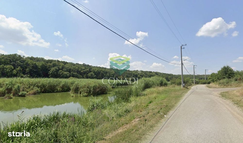Teren 800mp Vadu Anei | Branesti | Langa Lac si Padure | Rezidential