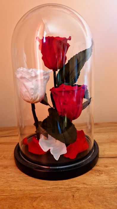 Trandafiri Criogenați – Cadoul care Durează Ani