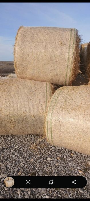 Baloți de fân de vânzare