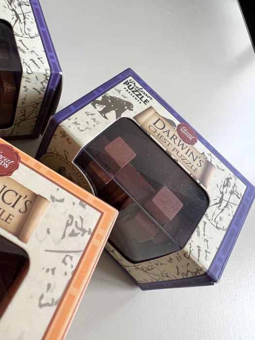 Мини дървен пъзел Professor Puzzle Da Vinci и Darwin