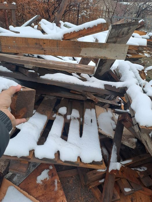 O'tin taxta, Утин тахта ва чёрний паталоклик тахта (utin taxta)