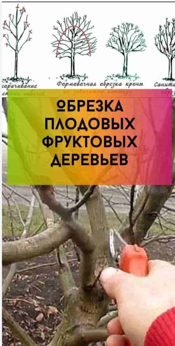 Обрезка деревьев кустарников.