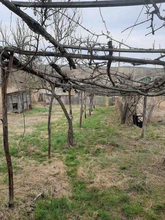 Casa batraneasca,Rusenii de Sus, Com.Plopana