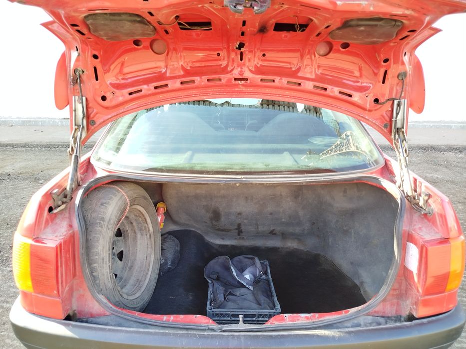 Жас қыздың кемпірлерге жыныстық қатынасқа үйрететін порно видеосы