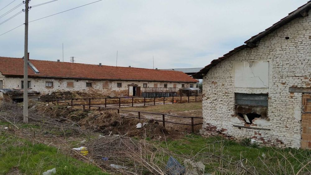 Продава се Парцел в с. Чешнегирово, Област Пловдив - 2751 кв.м за 20 €/кв.м - Снимка #2