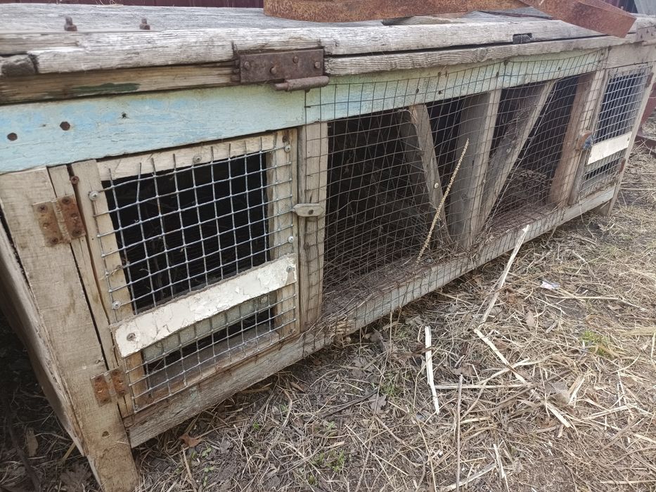 Клетка для кроликов