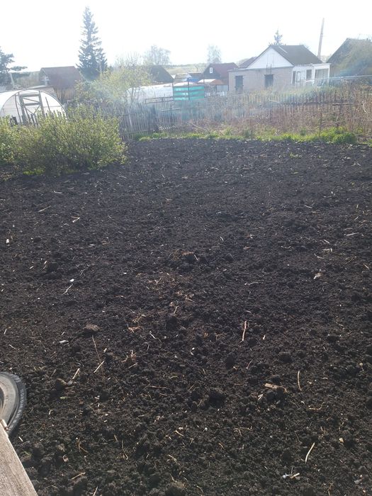 Дача, общество Новинка