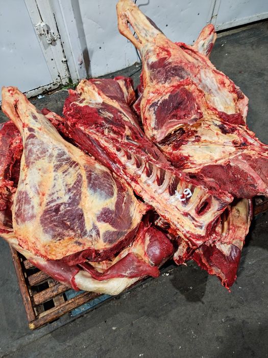 Мясо говядины конины