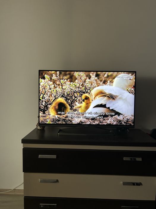 Vand Smart TV Philips