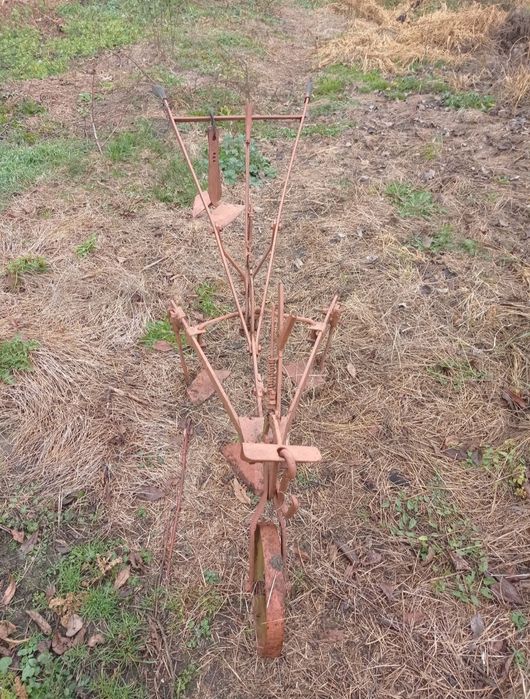 Prășitoare de cal.